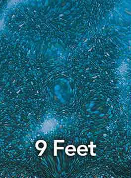 9 feet deep