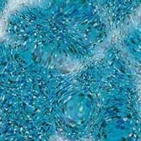 Aqua Essence PebbleTec