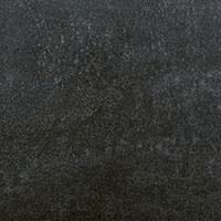 Ele-Carbon - NPT Pools