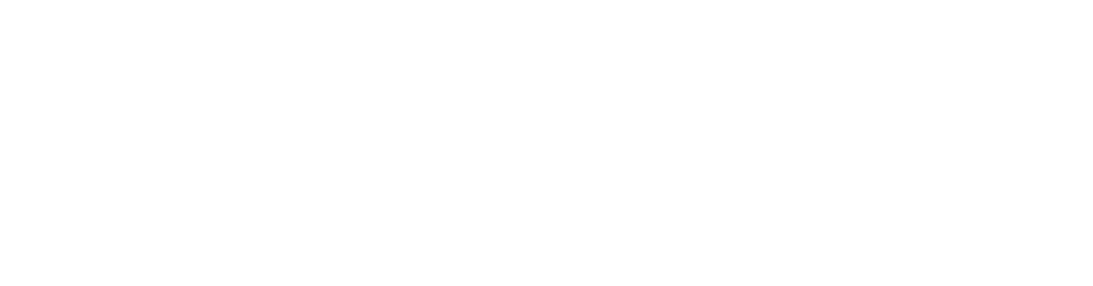 Leisure Pools logo