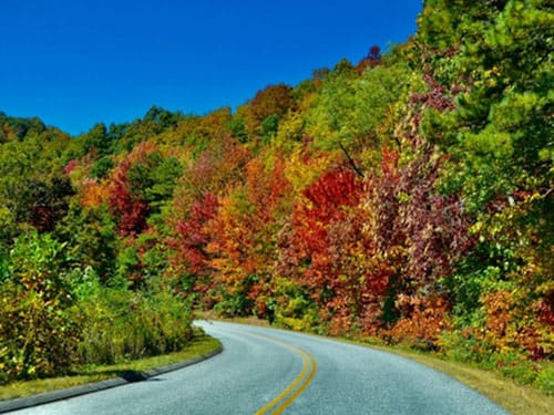 Pool installer in Mebane, NC