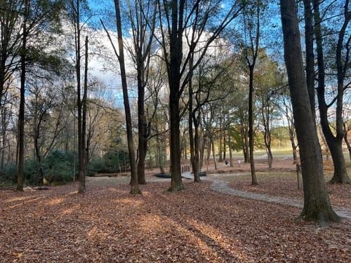 Pool installer in Zebulon, NC